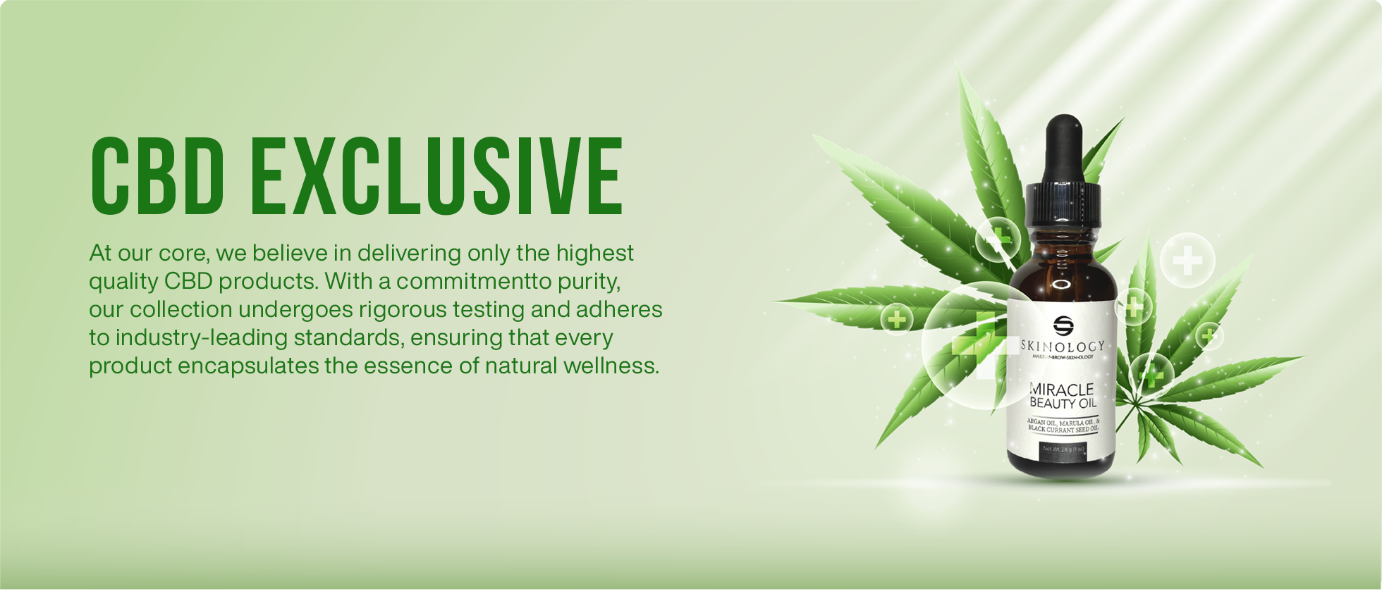 CBD makeupology store banner image