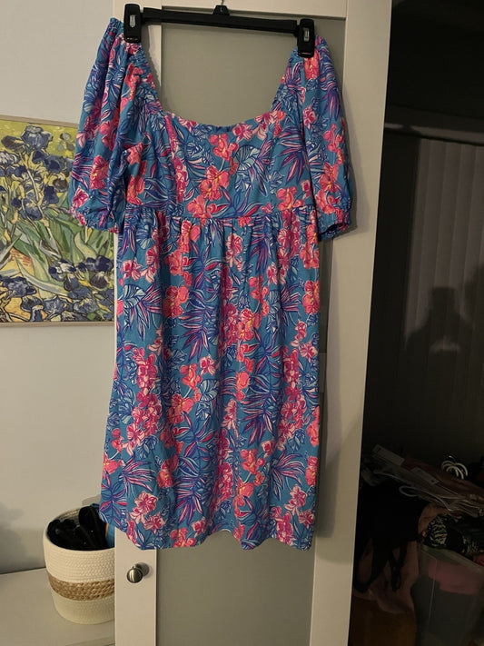 New Lilly Pulitzer Delaney Dress Size 4 Puff Short Sleeve Blue Pink Floral Beach